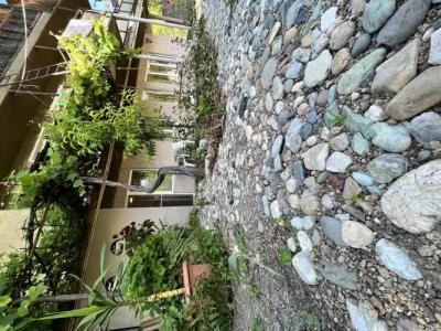 Green Park Guest House - 26