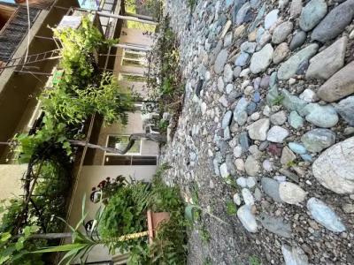 Green Park Guest House - 0