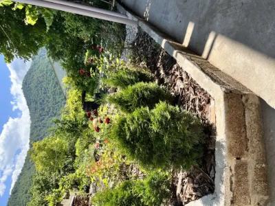 Green Park Guest House - 25