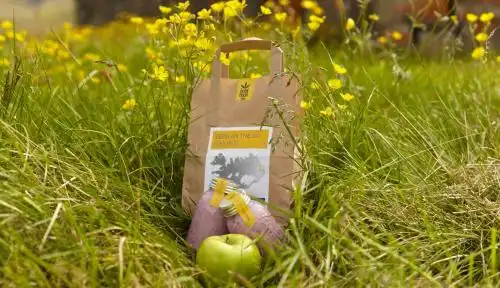 Edda ML Laugarvatn - 17