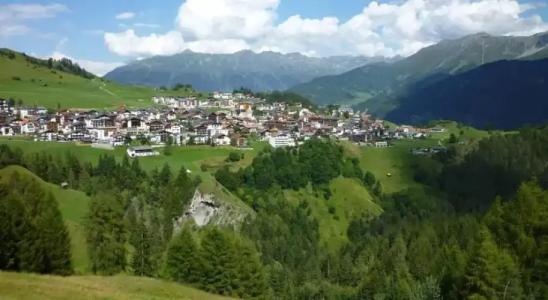 WellnessCervosa - 34