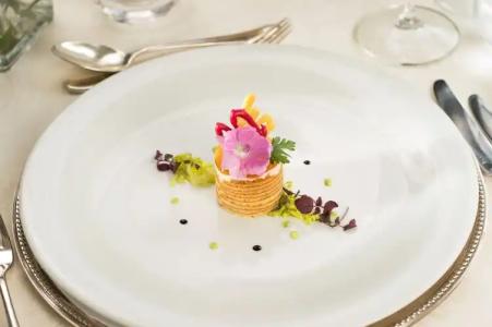 WellnessCervosa - 10