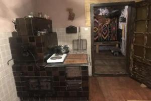 Guesthouse Karpaty, Yasinya