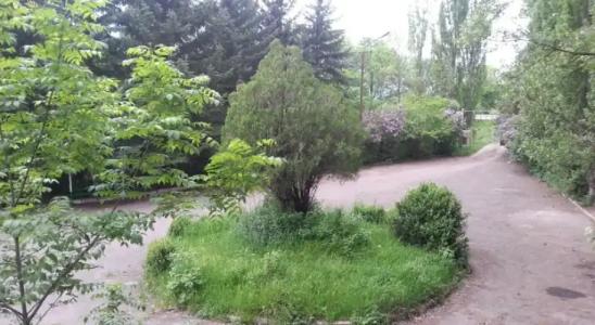 Guest House Mush - 8