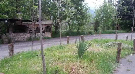 Guest House Mush - 0