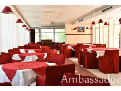 Ambassador - Free Parking - 17