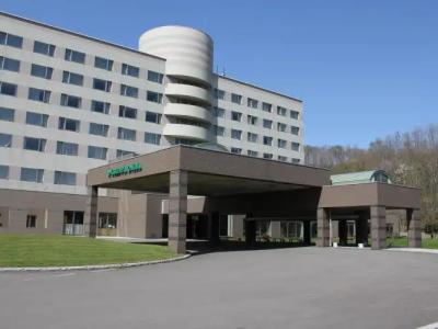 LiVEMAX RESORT Greenpia Onuma - 33