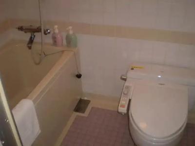 LiVEMAX RESORT Greenpia Onuma - 47