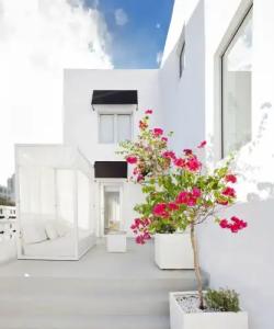 Blanc Kara- Adults Only - 23