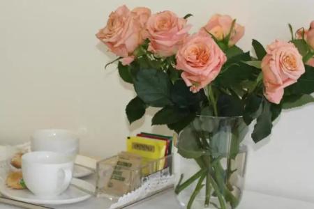 Bed and Breakfast Ines - 38