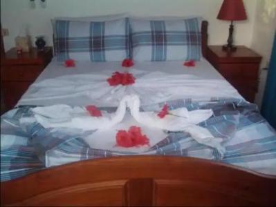 Seashell Self-Catering - 3