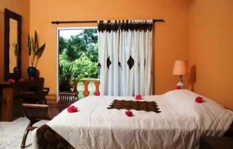 Villas des Alizes Beachfront Suites and Garden Villas - 45