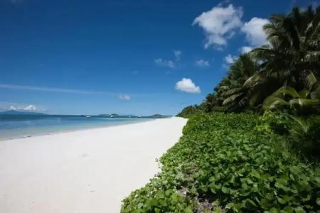 Villas des Alizes Beachfront Suites and Garden Villas - 20