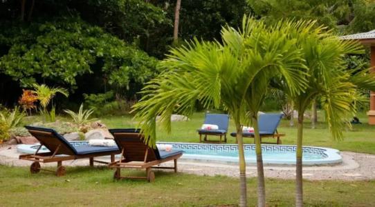 Villas des Alizes Beachfront Suites and Garden Villas - 49