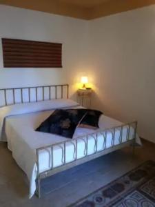 Chicchi di Melograno - 25