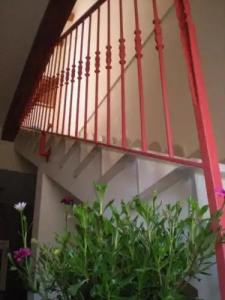 Chicchi di Melograno - 22