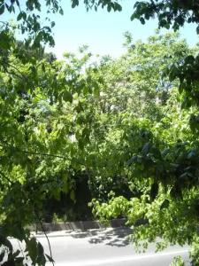 B&B Il Granello di Senape - 28