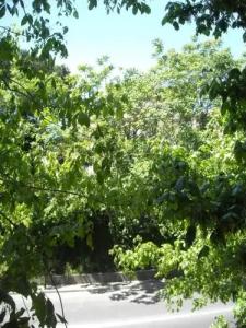 B&B Il Granello di Senape - 14