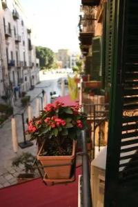 Boutique B&B Vintage - 66