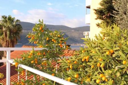 Guest House Tomanovic - 157