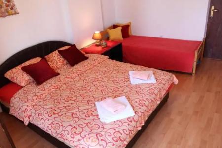 Guest House Tomanovic - 42