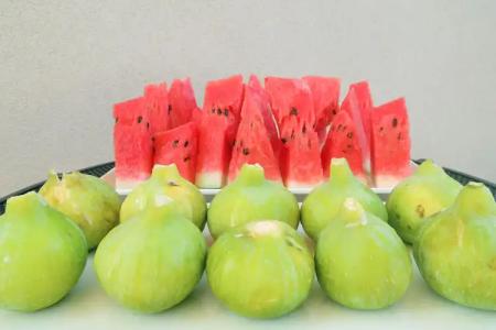 TerraSole Bakery B&B - 18