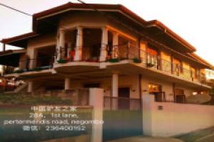 Olive Tree Guest House, Negombo