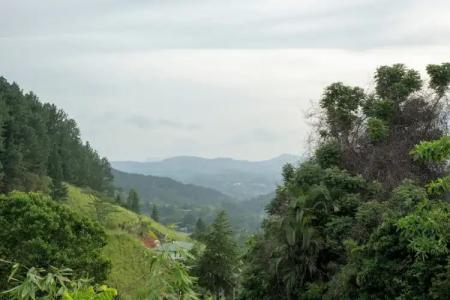 Melheim Kandy Villas - 57