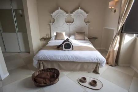 Palazzo Belsanti - 40