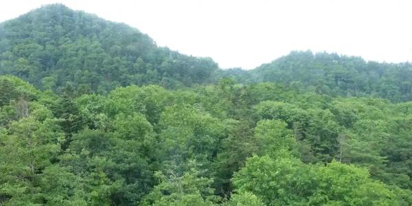 Nukabirakan Kanko - 23