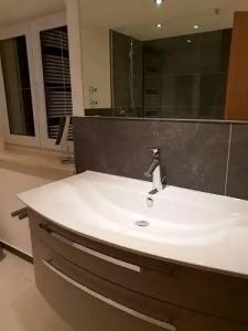 lustiger Hirsch - 49