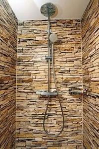 lustiger Hirsch - 25