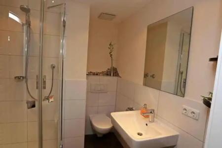 lustiger Hirsch - 34