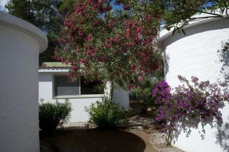 Villaggio Capo Vieste Camping - 18