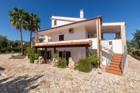 Residence Villantica - 58