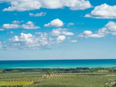 Residence Villantica - 15