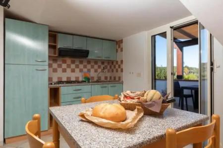 Residence Villantica - 100