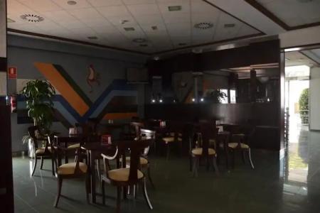 La Familia Gallo Rojo - 19