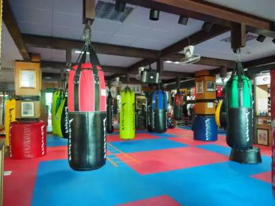 Fairtex Express - 13