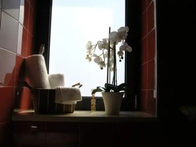 Baja Delle Sirene - 25