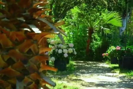 Alfa Apart Otel - 78