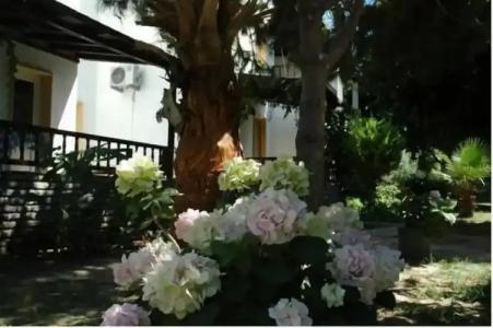 Alfa Apart Otel - 79