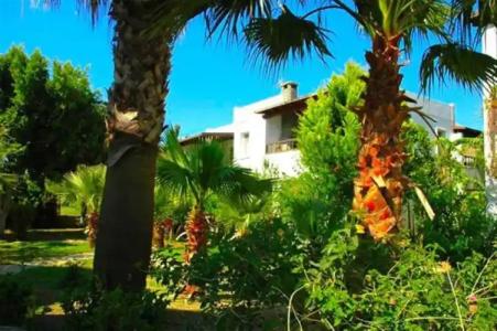 Alfa Apart Otel - 52