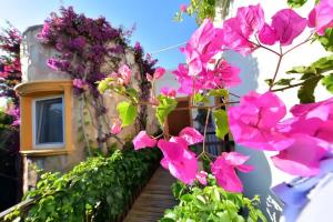 Tropicana Beach Hotel, Guembet