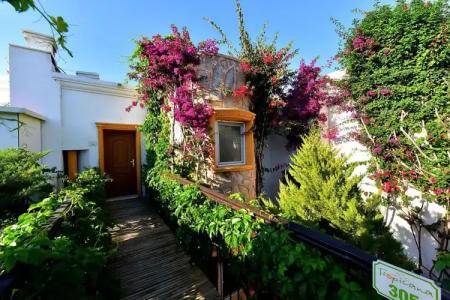 Tropicana Beach - 28