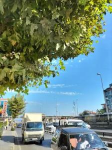 Istanbul Dedem 1 - 15