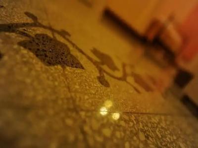 Barone Bed and Breakfast - 77