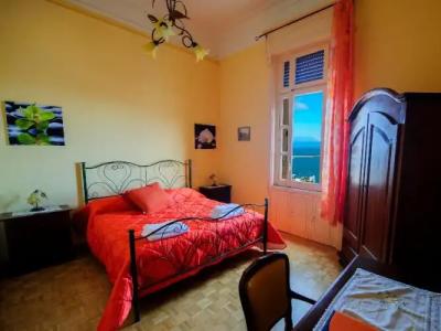 Barone Bed and Breakfast - 39