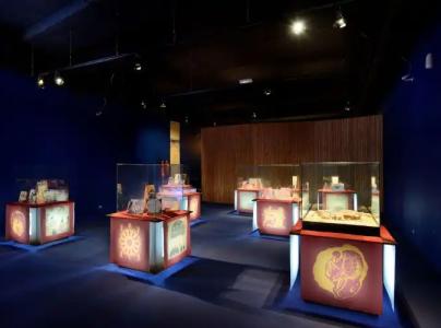 Ras Al Jinz Turtle Reserve - 11