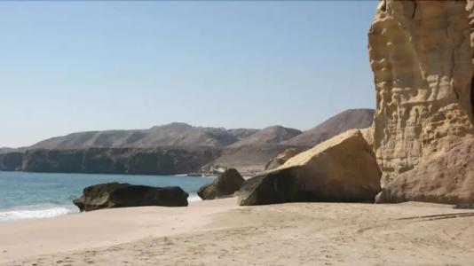 Ras Al Jinz Turtle Reserve - 27